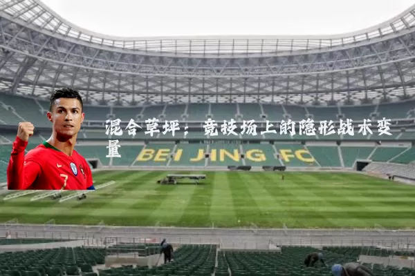 混合草坪:竞技场上的隐形战术变量